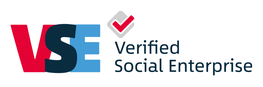 VSE Logo